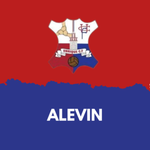 Categoría Alevín Ubrique CF 2023